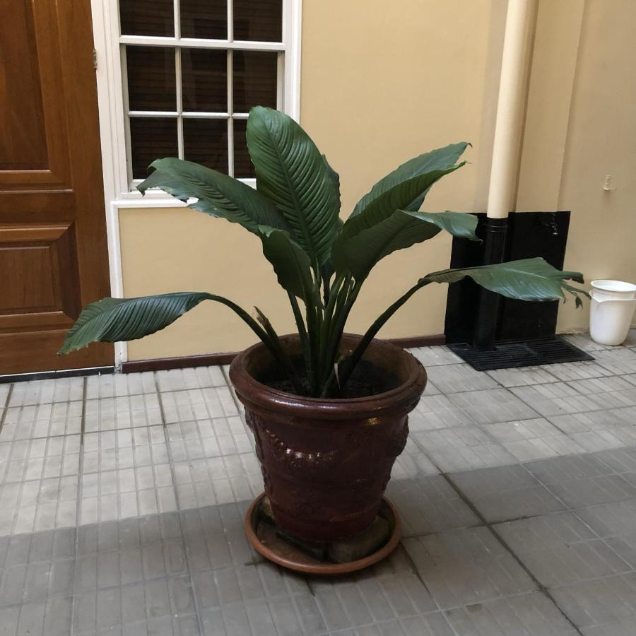 101 Suites Paramaribo Dış mekan fotoğraf